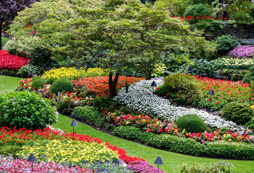Greenstone Lawn Care & Landscaping