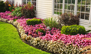 Flower Decoration