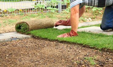 Sod Installation
